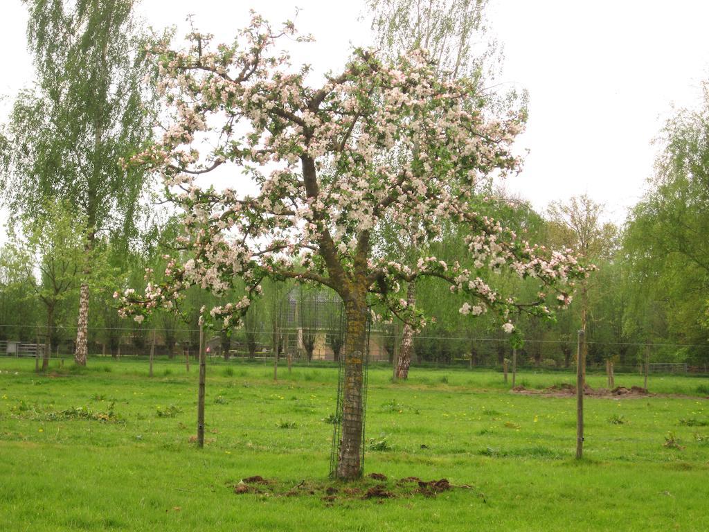 Bed And Breakfast Klein Groenbergen Leersum Luaran gambar