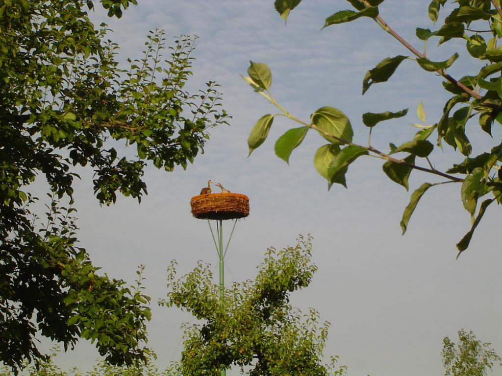 Bed And Breakfast Klein Groenbergen Leersum Luaran gambar